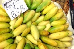 Passiflora tripartita Banana Passionfruit